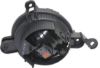 Picture of Fog Light