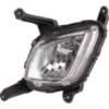 Picture of Fog Light