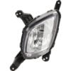 Picture of Fog Light