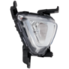 Picture of Fog Light