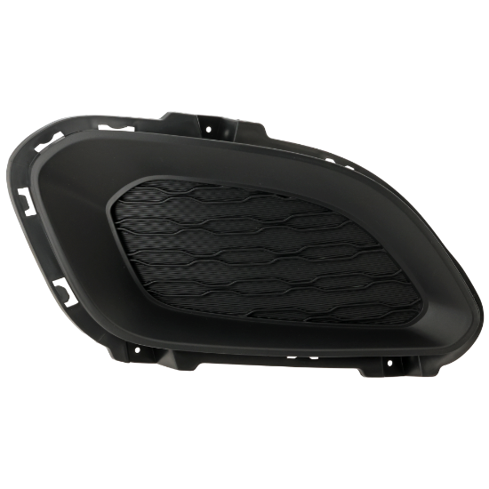 Picture of Fog Light Cover