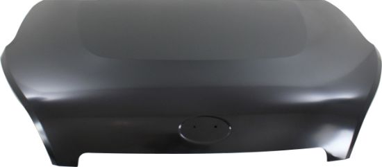 Picture of Hood