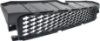 Picture of Bumper Grille