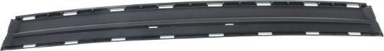 Picture of Bumper Grille