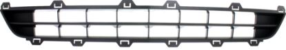 Picture of Bumper Grille