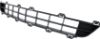 Picture of Bumper Grille