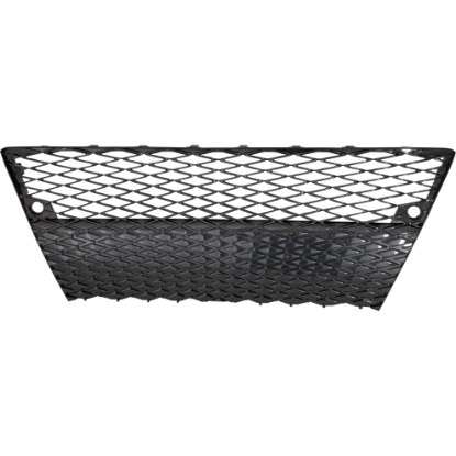 Picture of Bumper Grille