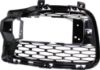 Picture of Fog Light Cover
