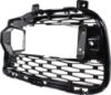 Picture of Fog Light Cover