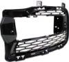Picture of Fog Light Cover