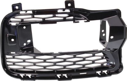 Picture of Fog Light Cover