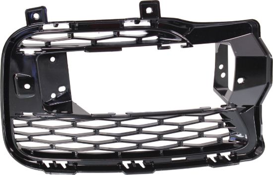 Picture of Fog Light Cover