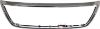 Picture of Grille Trim