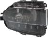 Picture of Fog Light