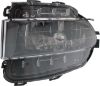 Picture of Fog Light