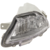 Picture of Fog Light