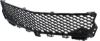 Picture of Bumper Grille