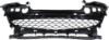 Picture of Bumper Grille