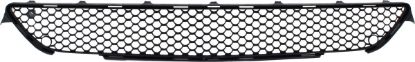 Picture of Bumper Grille
