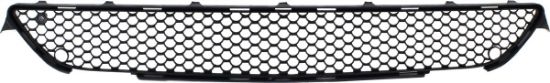 Picture of Bumper Grille