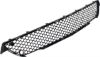 Picture of Bumper Grille