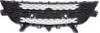 Picture of Bumper Grille