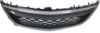 Picture of Bumper Grille