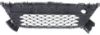 Picture of Bumper Grille