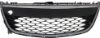 Picture of Bumper Grille