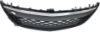 Picture of Bumper Grille