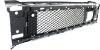Picture of Bumper Grille