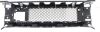 Picture of Bumper Grille