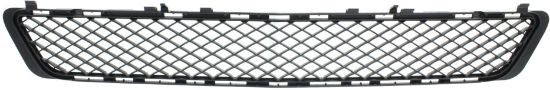 Picture of Bumper Grille