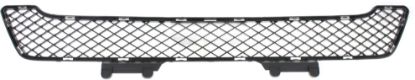 Picture of Bumper Grille