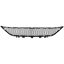 Picture of Bumper Grille