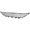 Picture of Bumper Grille