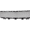 Picture of Bumper Grille