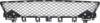 Picture of Bumper Grille