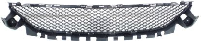 Picture of Bumper Grille