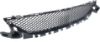 Picture of Bumper Grille