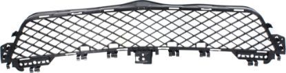 Picture of Bumper Grille