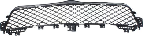 Picture of Bumper Grille