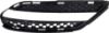 Picture of Bumper Grille