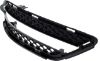 Picture of Bumper Grille