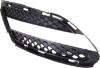 Picture of Bumper Grille