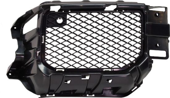 Picture of Bumper Grille