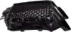 Picture of Bumper Grille