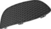 Picture of Fog Light Cover