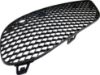 Picture of Fog Light Cover