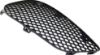 Picture of Fog Light Cover